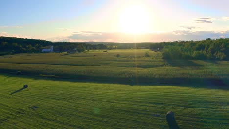 drone flying over a farming wheat crop on a summer evening