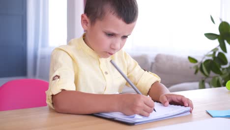 smart schoolboy writing in copybook