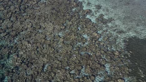 aerial view of coral reef and rocky seabed visible through clear, shallow water