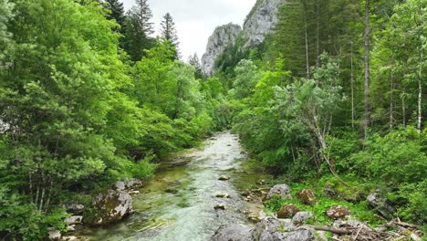 Logar-Valley-Water-Riverbed-Strem-Flow-in-Alpine-Green-Forest,-Slovenia,-Aerial-Drone-Shot-Above-Natural-Park-in-Summer,-Slow-Motion