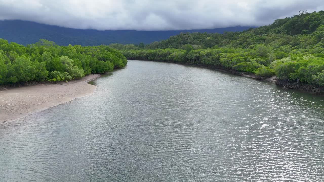 Drone glides above winding mangrove river, lush rainforest, cloudy sky, soft daylight, smooth motion