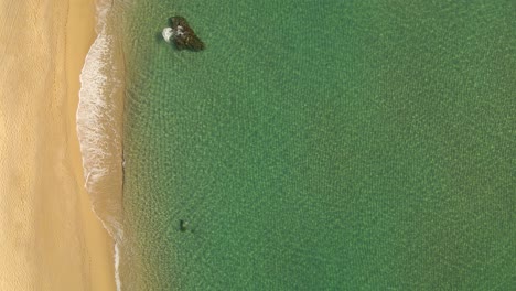 Vertical-top-down-view-calm-clear-water-ocean-waves-rolling-into-a-tropical-paradise-beach