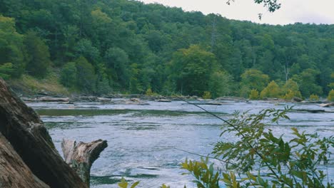 a sweeping view of a large, fast moving river, embedded in a thick green forest