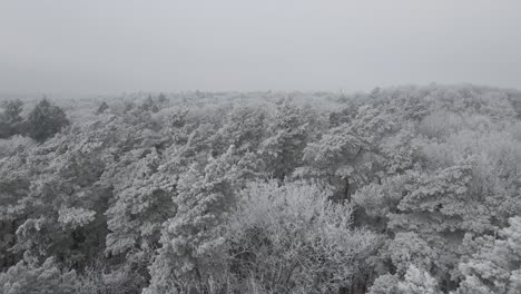 Winter-in-Poland,-Szczecin