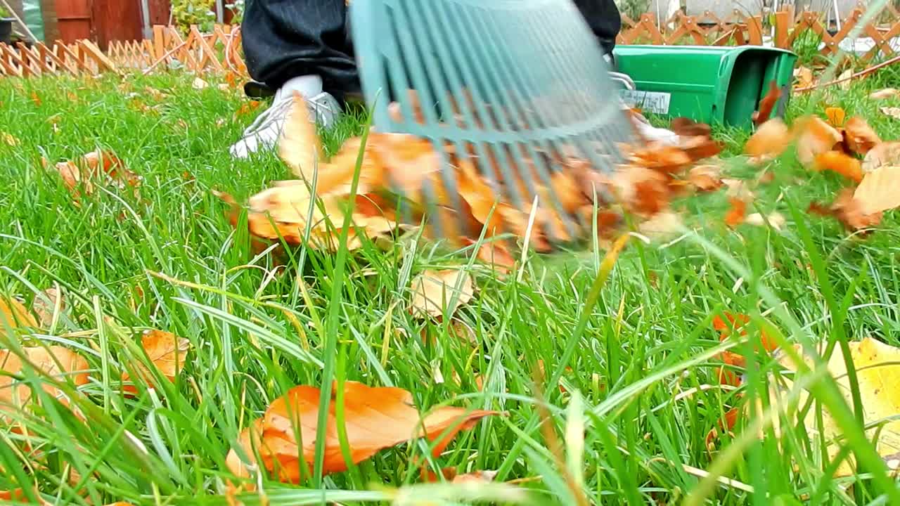 Clearing leaves in windy garden with leaf blower vacuum