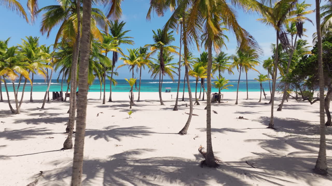 playa de arena blanca con palmeras en cayo sombrero, parque nacional morrocoy, venezuela