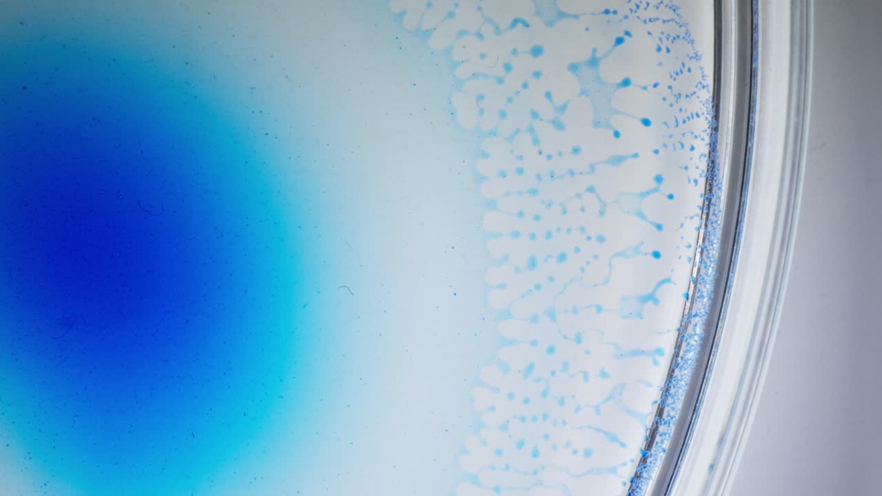 Blue ink bloom in liquid creating dreamy abstract patterns, macro close-up view