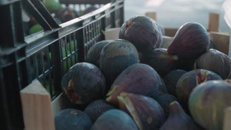 close up detail shot of ripe purple figs in crate at street market