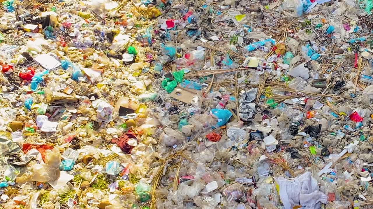 쓰레기 매립지 - 낮 시각