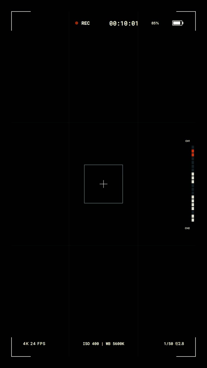 Digital Camera Recording Interface Overlay