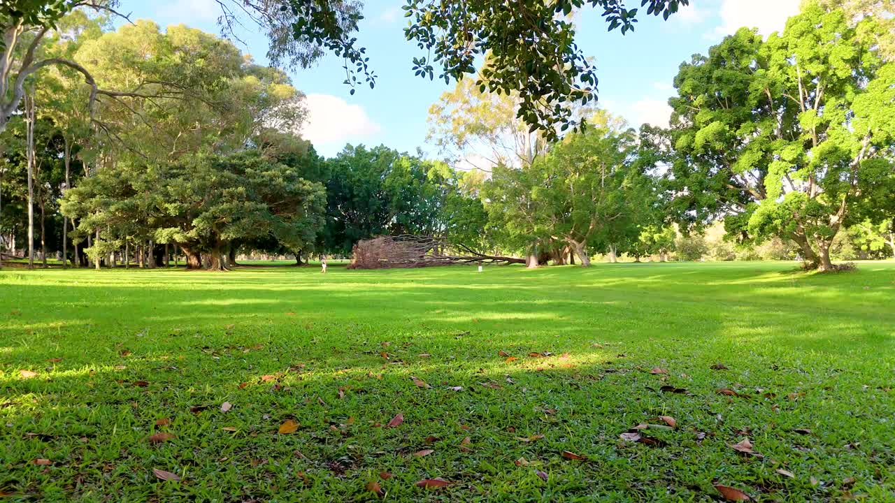 A tranquil park scene with lush greenery and sunlight filtering through trees, captured in Gold Coast, Australia