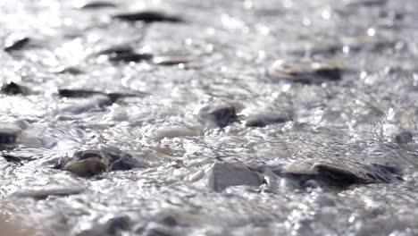 slow motion water running over rocks and pebbles in a stream