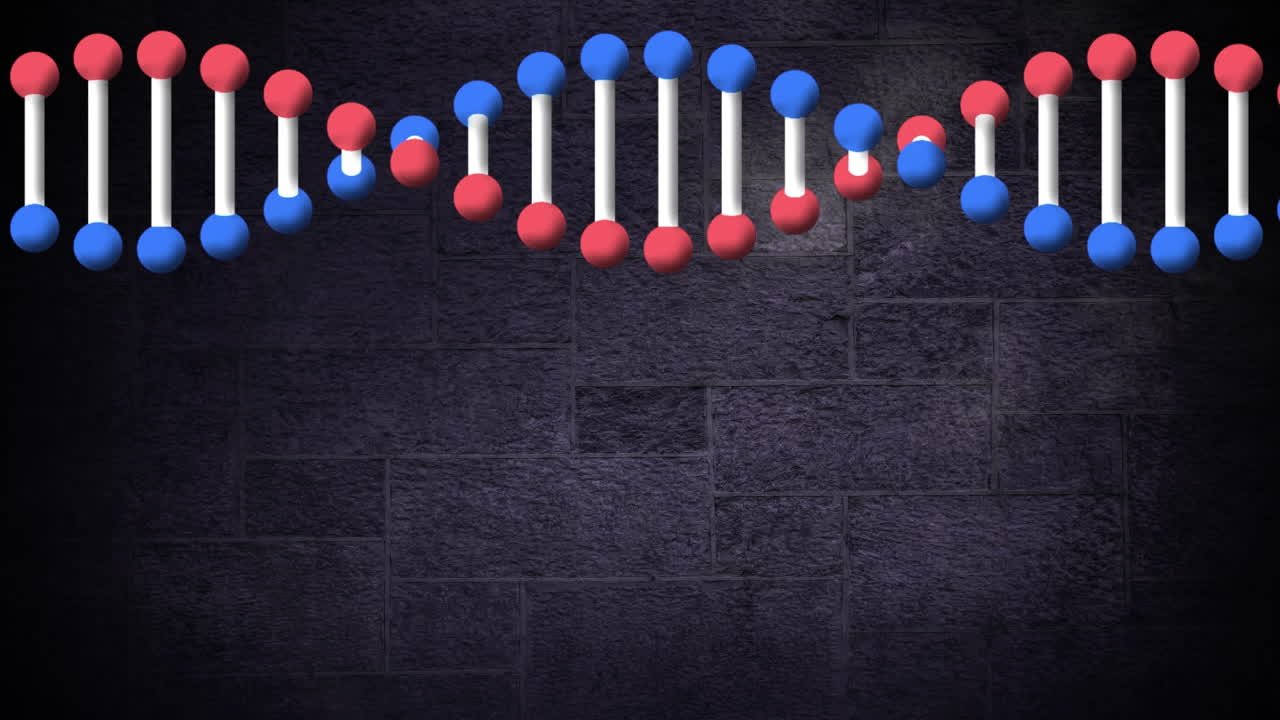 어두운 회색 돌 벽 배경 위에서 회전하는 dna 가닥의 애니메이션