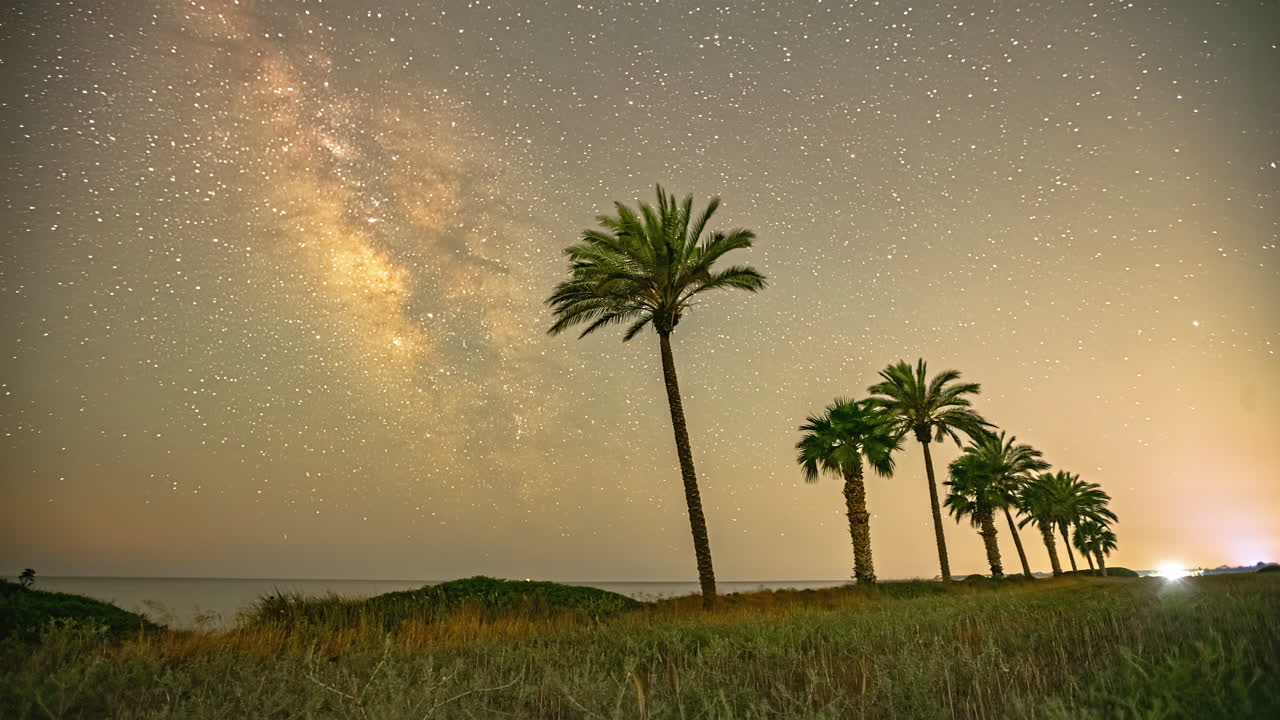 The celestial sky's mesmerizing grandeur during nighttime is beautifully presented through the expertly captured timelapse featuring palm trees