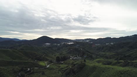 tropical cameron highlands with green slopes and tea plantations, cloudy