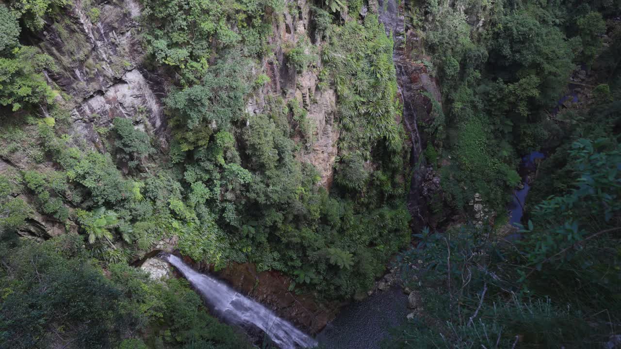 una serena cascada en el exuberante bosque tropical