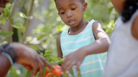 Glückliche-Afroamerikanische-Geschwister-Mit-Großvater,-Die-Im-Garten-Reden,-In-Zeitlupe