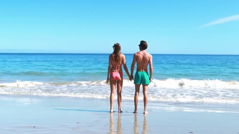 Rear-view-of-couple-walking-on-beach