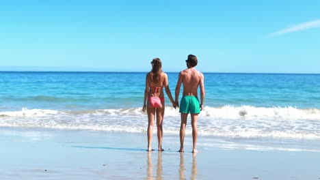 vista trasera de una pareja caminando por la playa