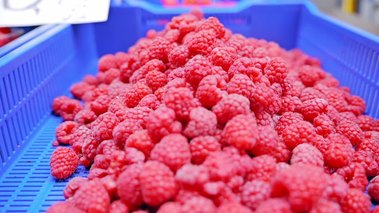 Fresh red raspberries in plastic box contrast blue crate handheld motion