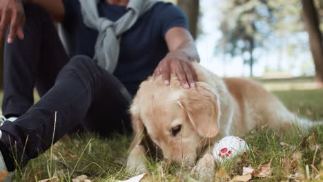 man scratching his dog