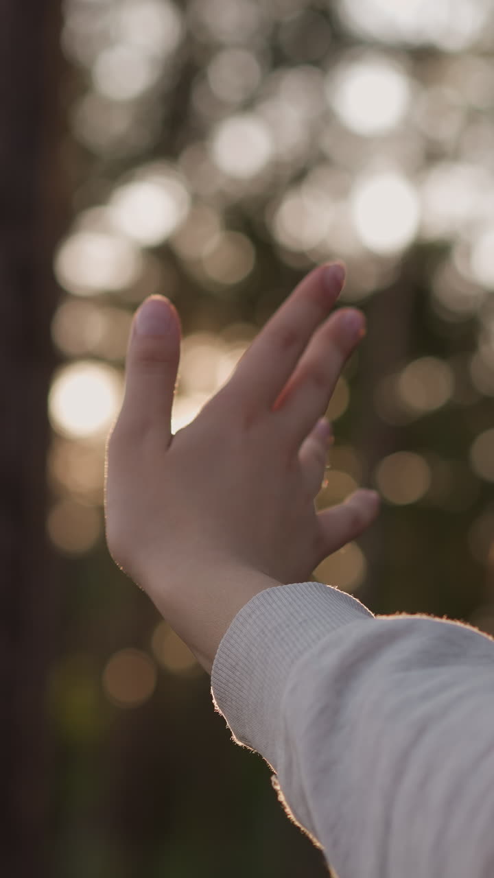 la mujer cubre la luz del sol con la mano. los rayos del sol atraviesan los huecos entre los dedos de la joven que camina en el denso bosque al atardecer del día de verano.