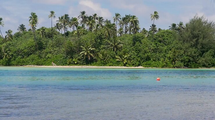 Immagine fissa di isola e oceano con palme nelle isole Cook tropicali, Rarotonga 1920x1080 HD
