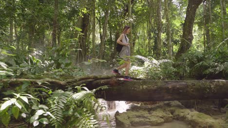 girl hiking on log in the forest, slow motion