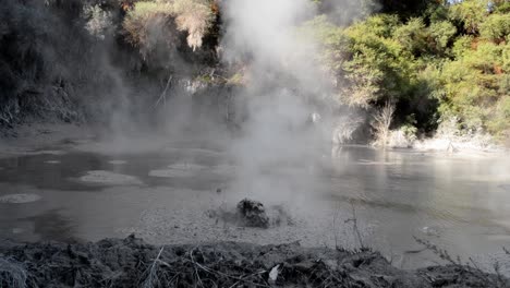 fuerte liberación de gas que provoca burbujas en aumento en las piscinas de lodo caliente de la zona volcánica taupo