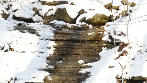 el derretimiento de la nieve crea un pequeño arroyo en hamilton, ontario, canadá