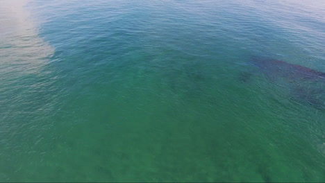 Luft--Und-Surfaufnahmen-Curl-Curl-Beach-Sydney-Australien