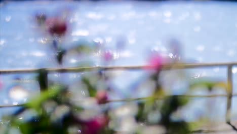 Konzentrieren-Sie-Sich-Auf-Das-Ziehen-Von-Blumen-Zum-Fluss