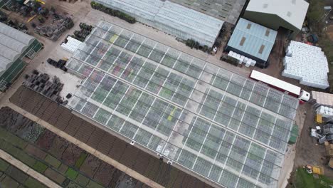 girando drone aumento vista aérea de plantas y flores de vivero mayorista de plantas essex, inglaterra