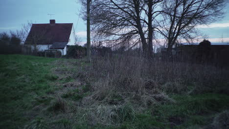 cottage in countryside in evening light. tree and house in rural setting.