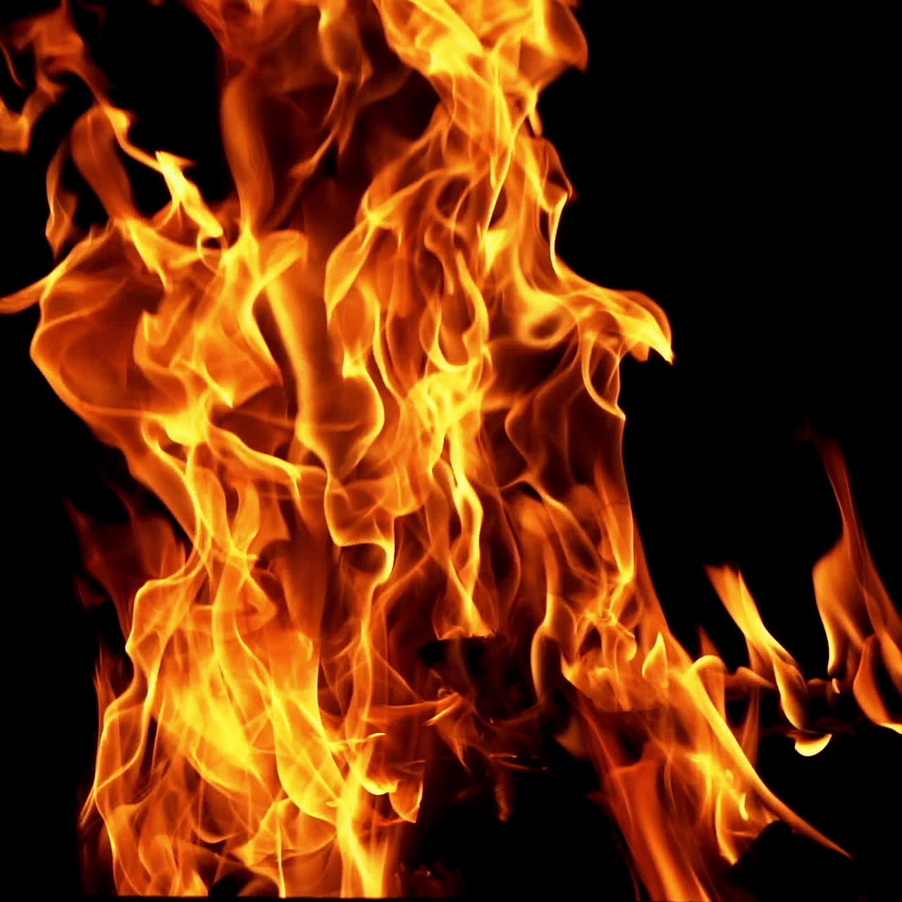 Campfire burning at night. Fire flame in slow motion. Concept of camping and active pastime.