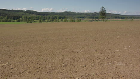 2 month timelapse pan r2l from dry soil to lush green pea and oat crops