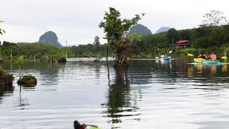 kayakers navigate serene canal in krabi, thailand