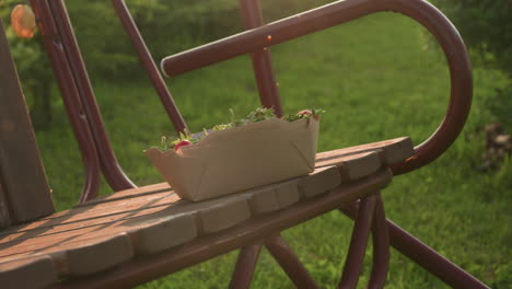close up of strawberry in cardboard container perched on wooden swing bench gently swaying amidst lush green grass during golden hour, warm sunlight casting soft glow on fruit