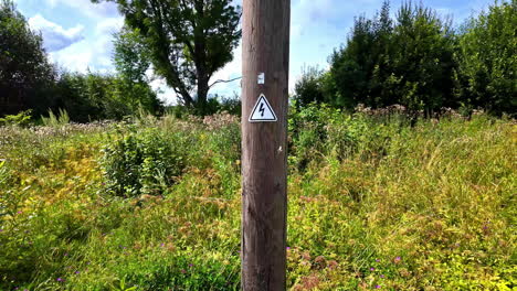 profile view of dangerous high voltage sign board mounted on a bark of a tree in a forest during daytime