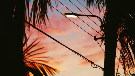 Glorious-Sunset-Scenery-With-Silhouette-Of-Palm-Trees-And-Street-Lantern-Under-The-Vivid-Sky---low-angle-shot