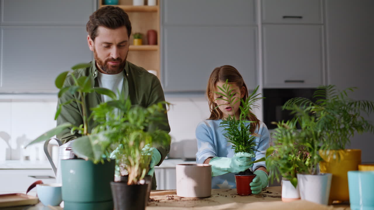 Trapianto di piante verdi da genitore a figlio, giardinaggio a casa, primo piano