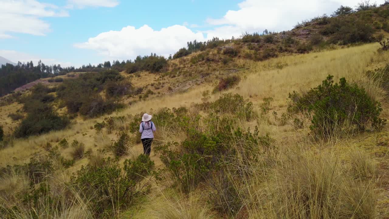 Tilt-down, pan-left reveal shot of a woman trekking on an old Inca road through Andean vegetation near Cusco, Peru.