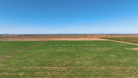 aerial shot of drone flying over fields where it shows a green field and a desert one