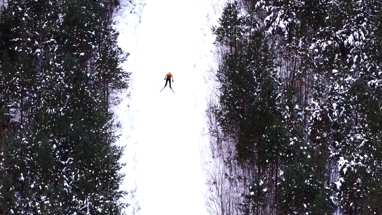 Atleta solitario che si gode una maratona di sci di fondo su una pista innevata attraverso una foresta.