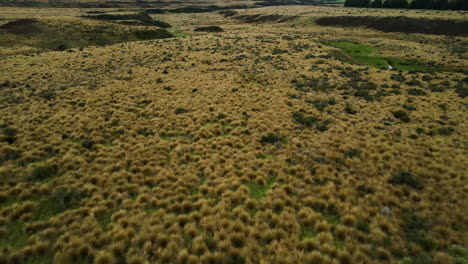 aerial, red tussock reserve in new zealand