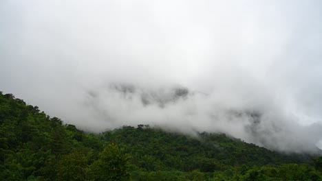 niebla que se mueve rápidamente a la izquierda que cubre una selva tropical en sai yok, kanchanaburi, tailandia