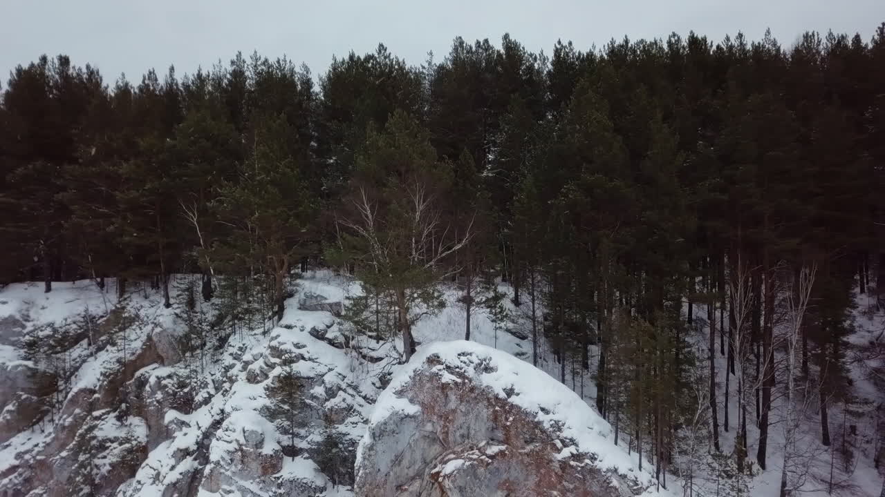 paisaje invernal nevado con bosque y rocas