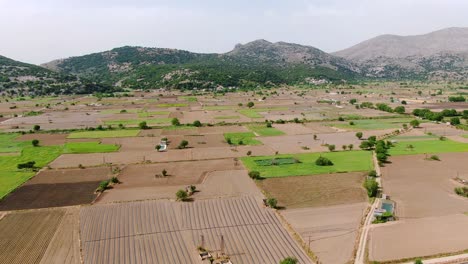 aerial push in shot of lasithi plateau with agriculture fields