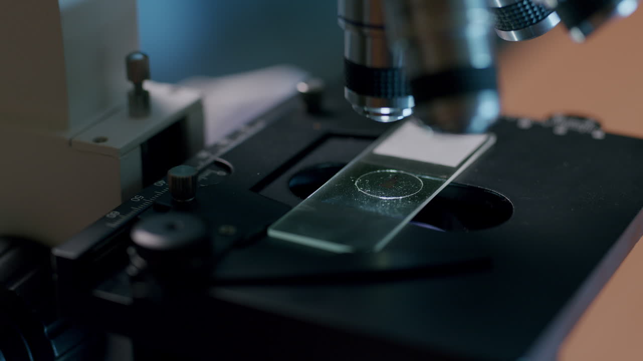 científico de vida joven que trabaja con un microscopio profesional en el laboratorio