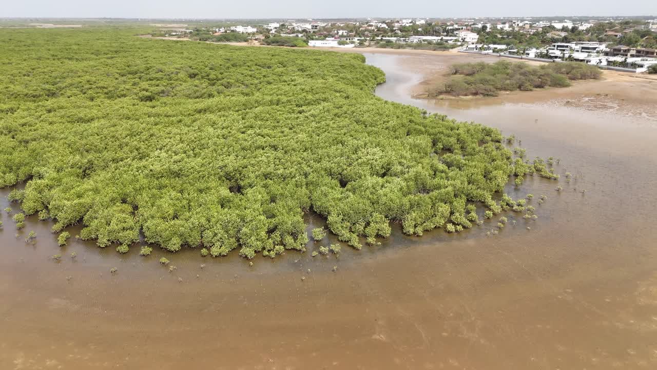 Drone shot of mangrove island in Somone lagoon, Senegal, surrounded by shallow waters and sandy beach